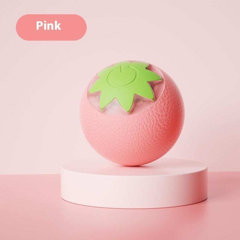 Self-Hi Relieving Electric Cat Toy