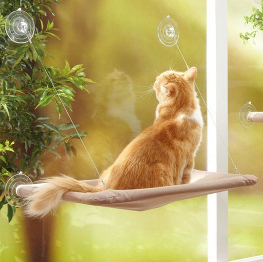 Cat Sunny Window Seat