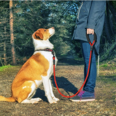 Reflective Dog Leash For Small Medium Large Dogs