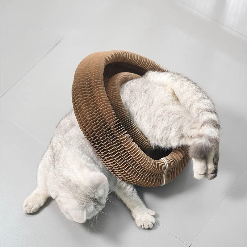 Cat Scratching Board