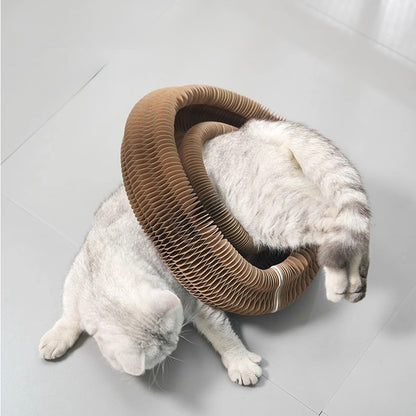 Cat Scratching Board