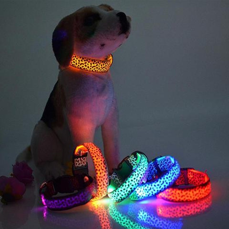 LED Dog Collar Safety Adjustable Nylon