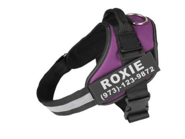 Personalized Custom Reflective Breathable Dog Harness/ NO PULL Adjustable