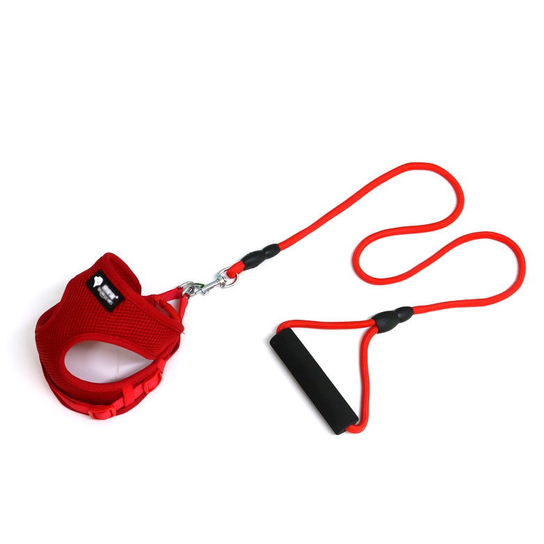 Dog leash/ harness