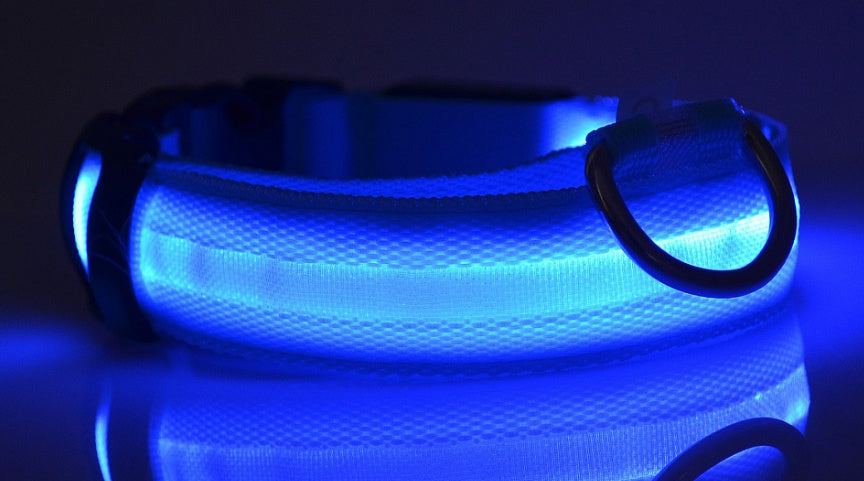 Nylon LED Pet Luminous Collar  Flashing Glow in Dark