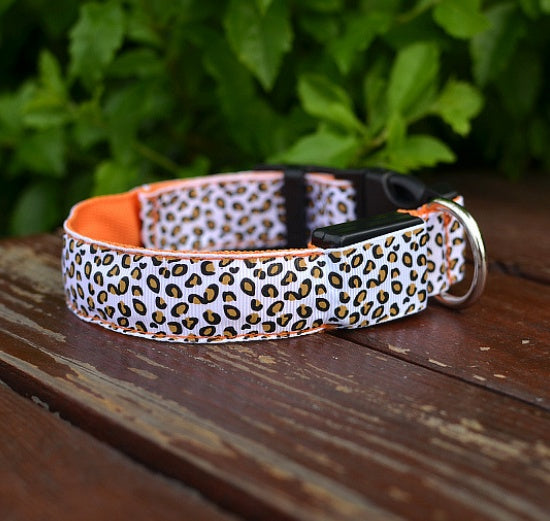 LED Dog Collar Safety Adjustable Nylon