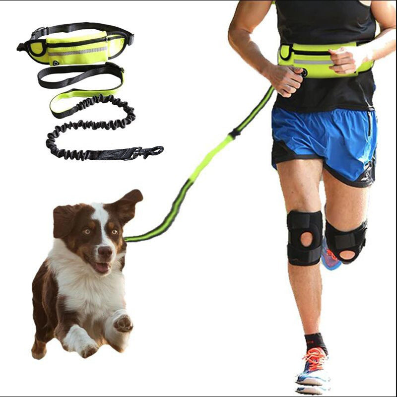 Hands Free Dog Leash And Training Belt With Shock Absorbing Bungee/Up to 180 lbs