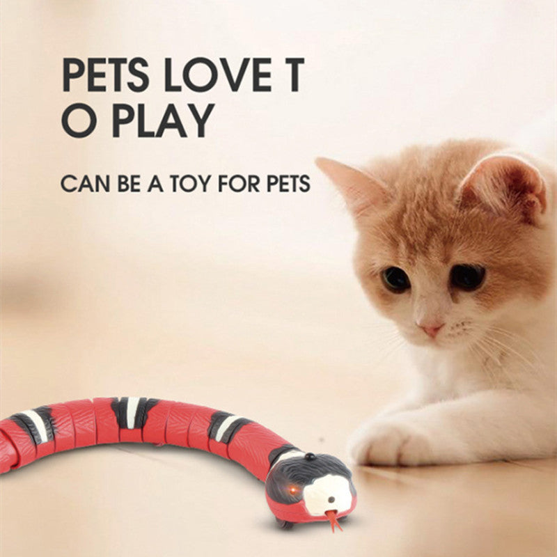 Interactive Electric Induction Snake Toy