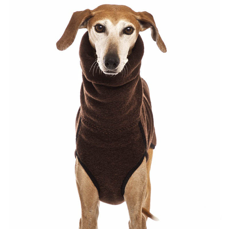 Newest Winter Big Dog Clothes for Medium Large Dogs Warm High Collar Pet Coat