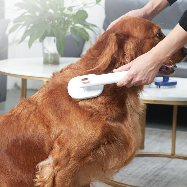 Pet Hair Brush/Hair Removal