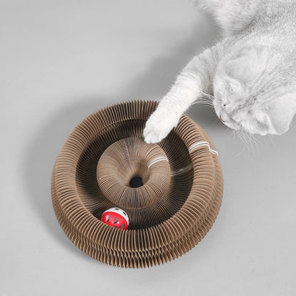 Cat Scratching Board