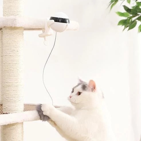 Electronic Motion Interactive Cat Toy