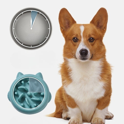 Dog Cat Slow Feeder Bowls