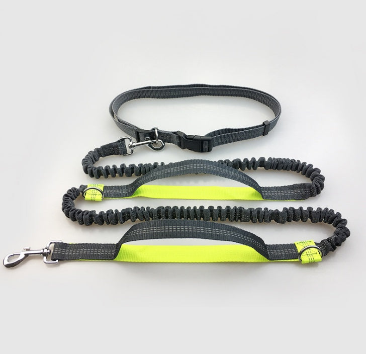 Reflective pull dog leash double elastic