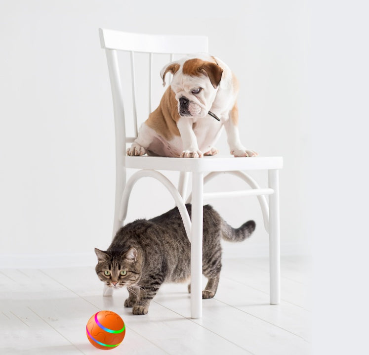 Self Rotating Dog/Cat Ball Automatic Rotation Toy