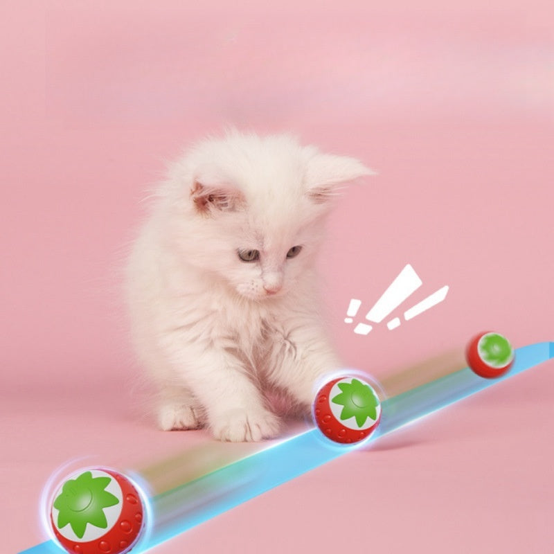 Self-Hi Relieving Electric Cat Toy