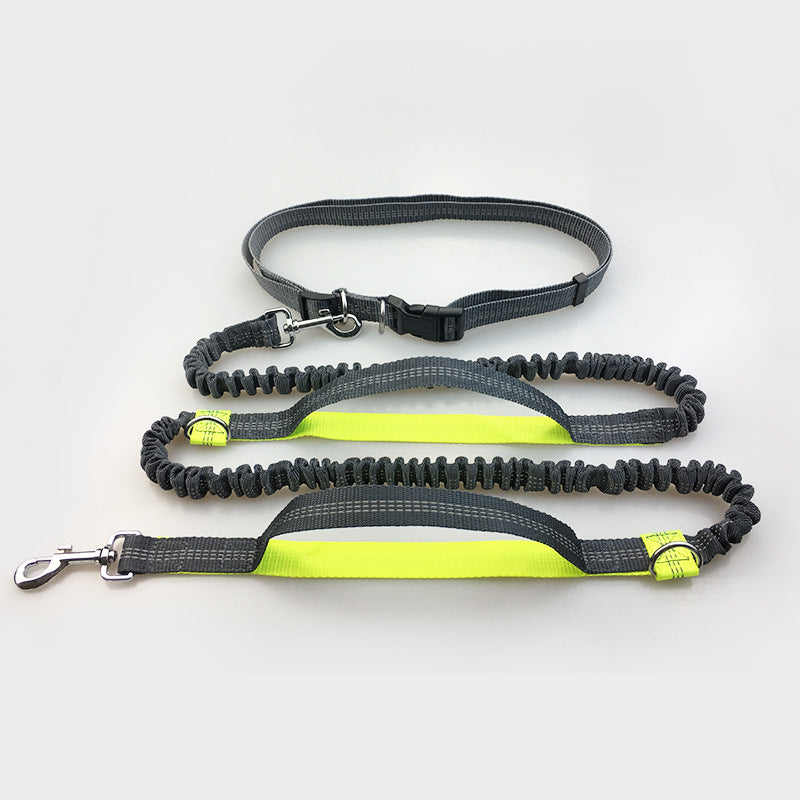 Reflective pull dog leash double elastic