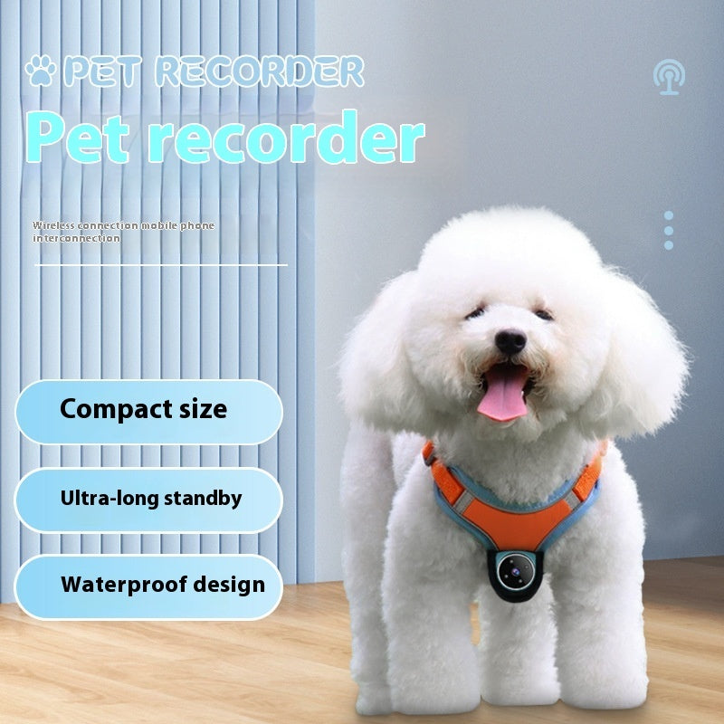 Pets Recorder  Motion  Action Camera With Video Recording