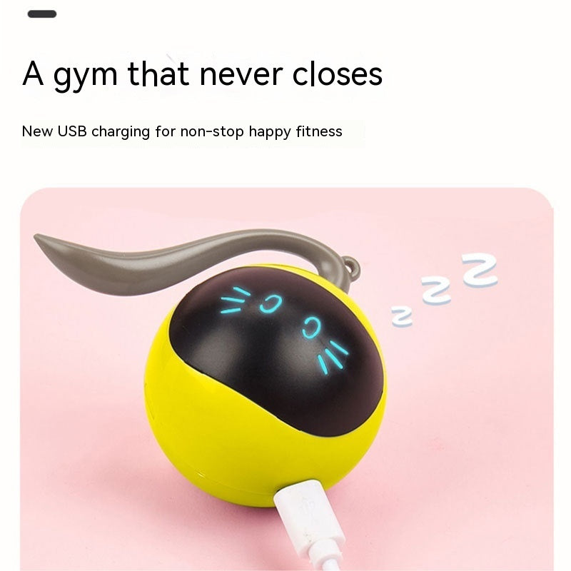 Cat Toy Electric Ball