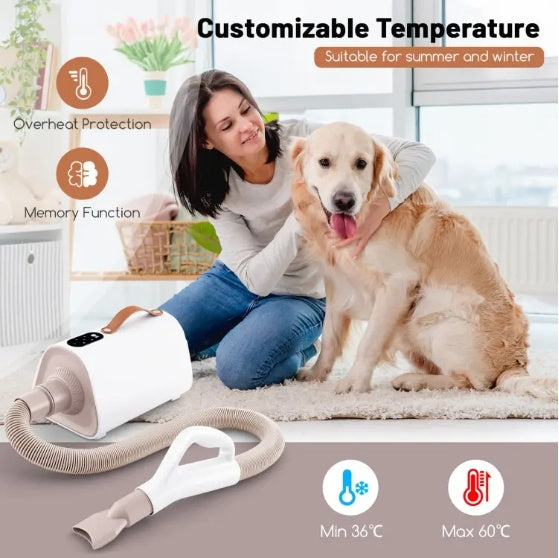 Dog Cat Hair Blower With Negative Ion Function And Adjustable Temperature