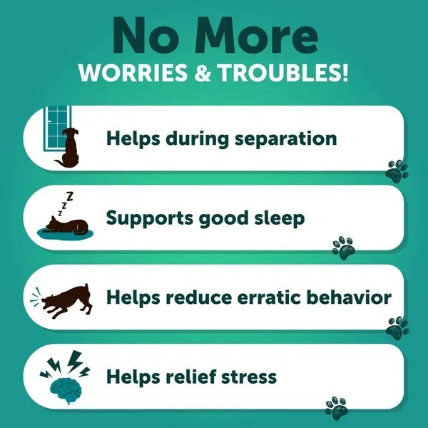 Hemp Calming Chews For Dogs Dog Anxiety Relief Treats With Hemp Oil Turmeric Valerian Ginger