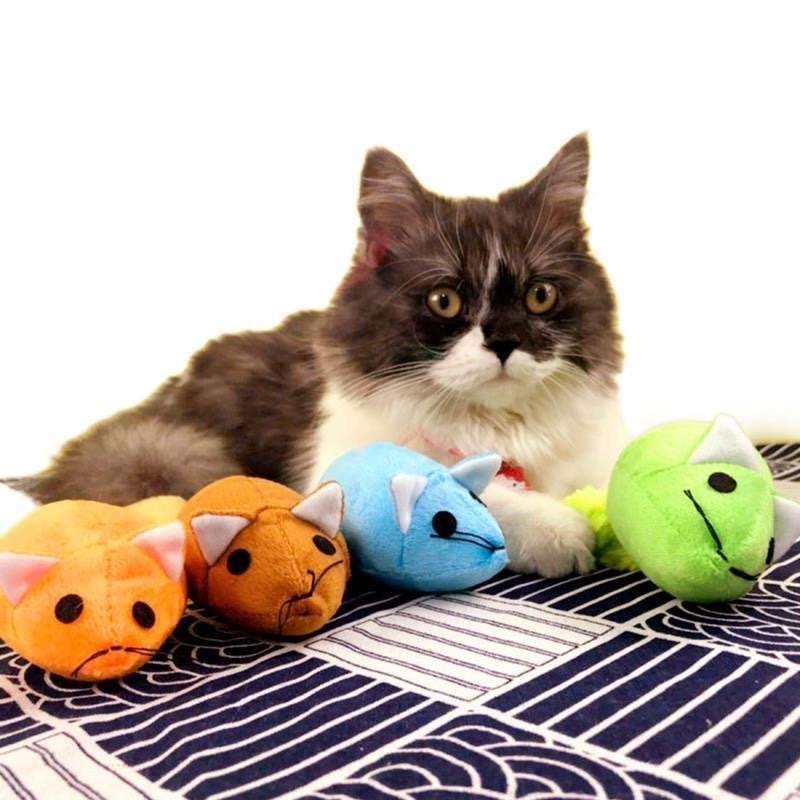 Long Tail Mouse Cat Teaster Toys