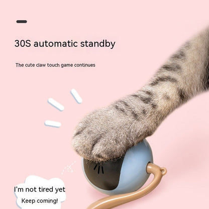 Cat Toy Electric Ball