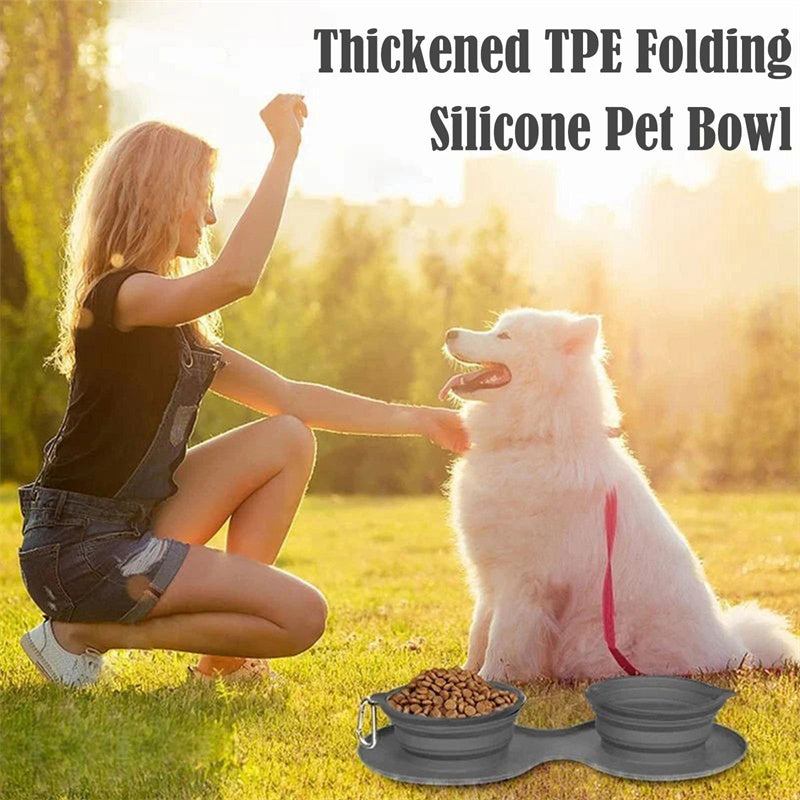 Rubber Foldable Double Feeding Bowl