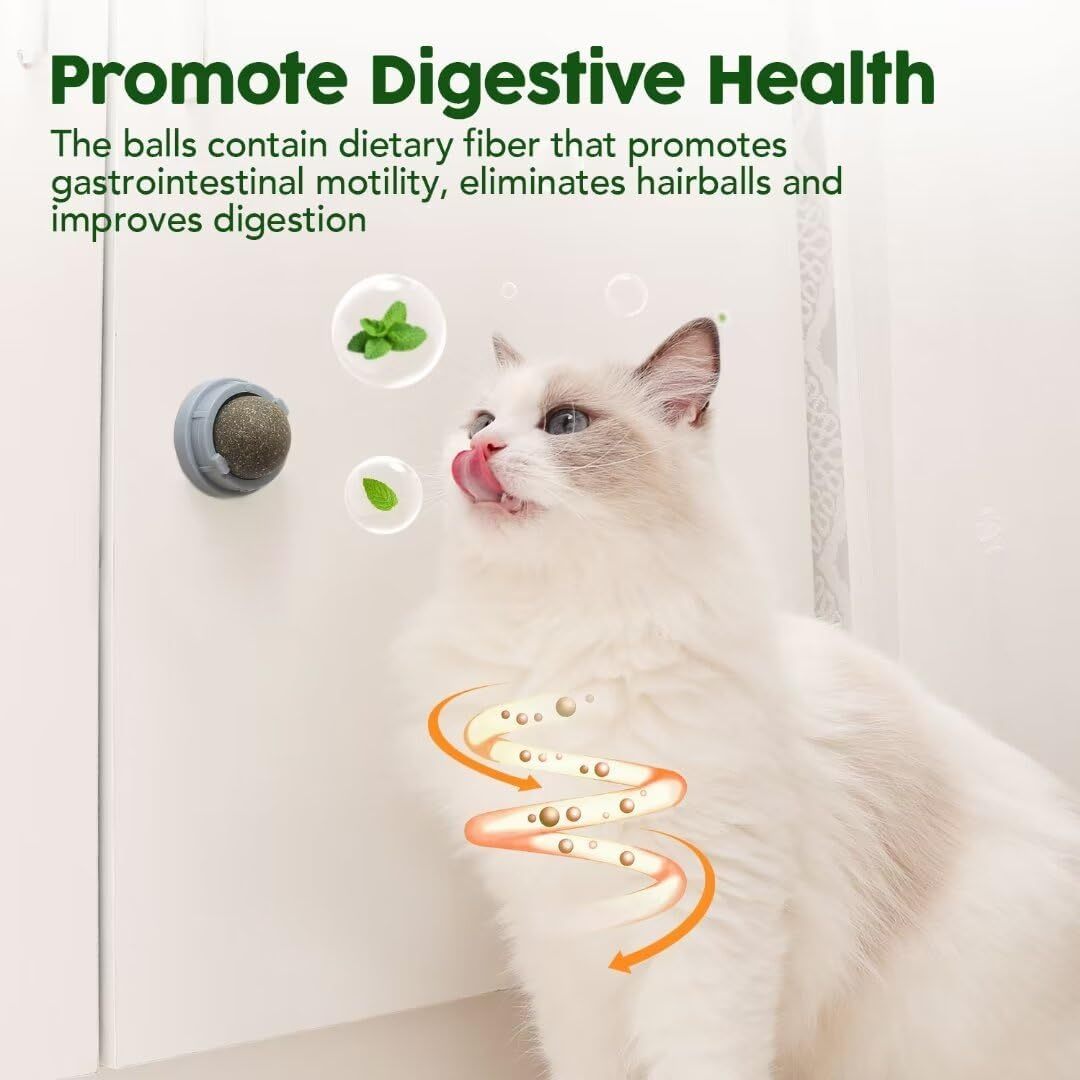 Cats Lick Healthy Kitty Teeth Cleaning Dental Chew Toys/Catnip