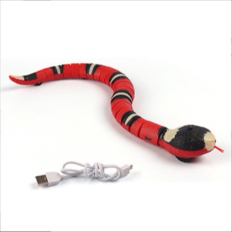Interactive Electric Induction Snake Toy