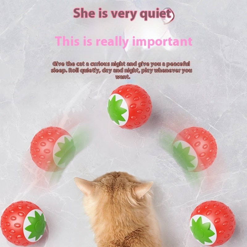 Self-Hi Relieving Electric Cat Toy