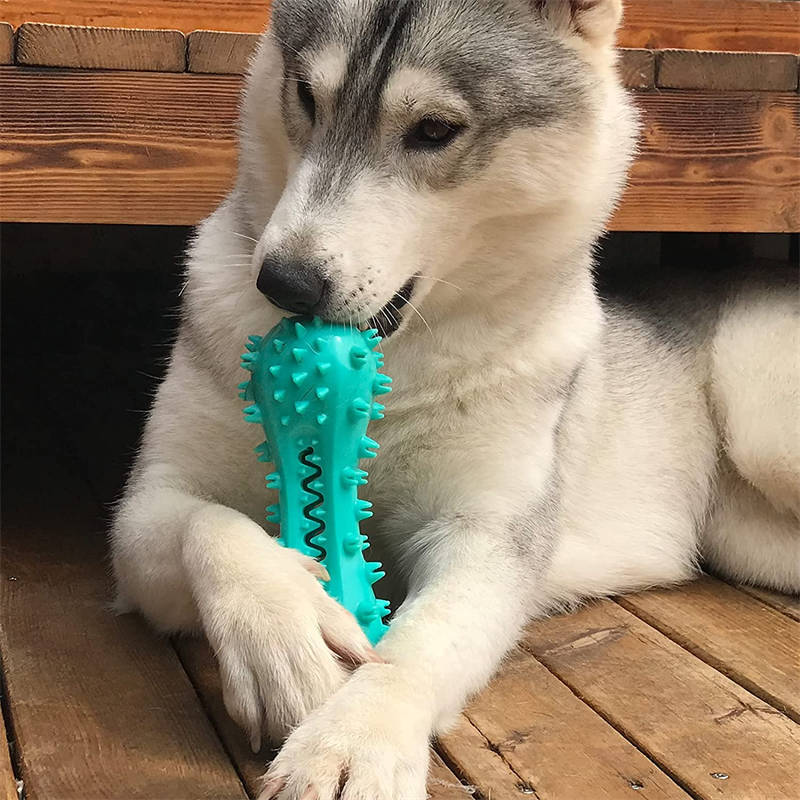Dog Cleaning Chew Toys For Aggressive Dogs