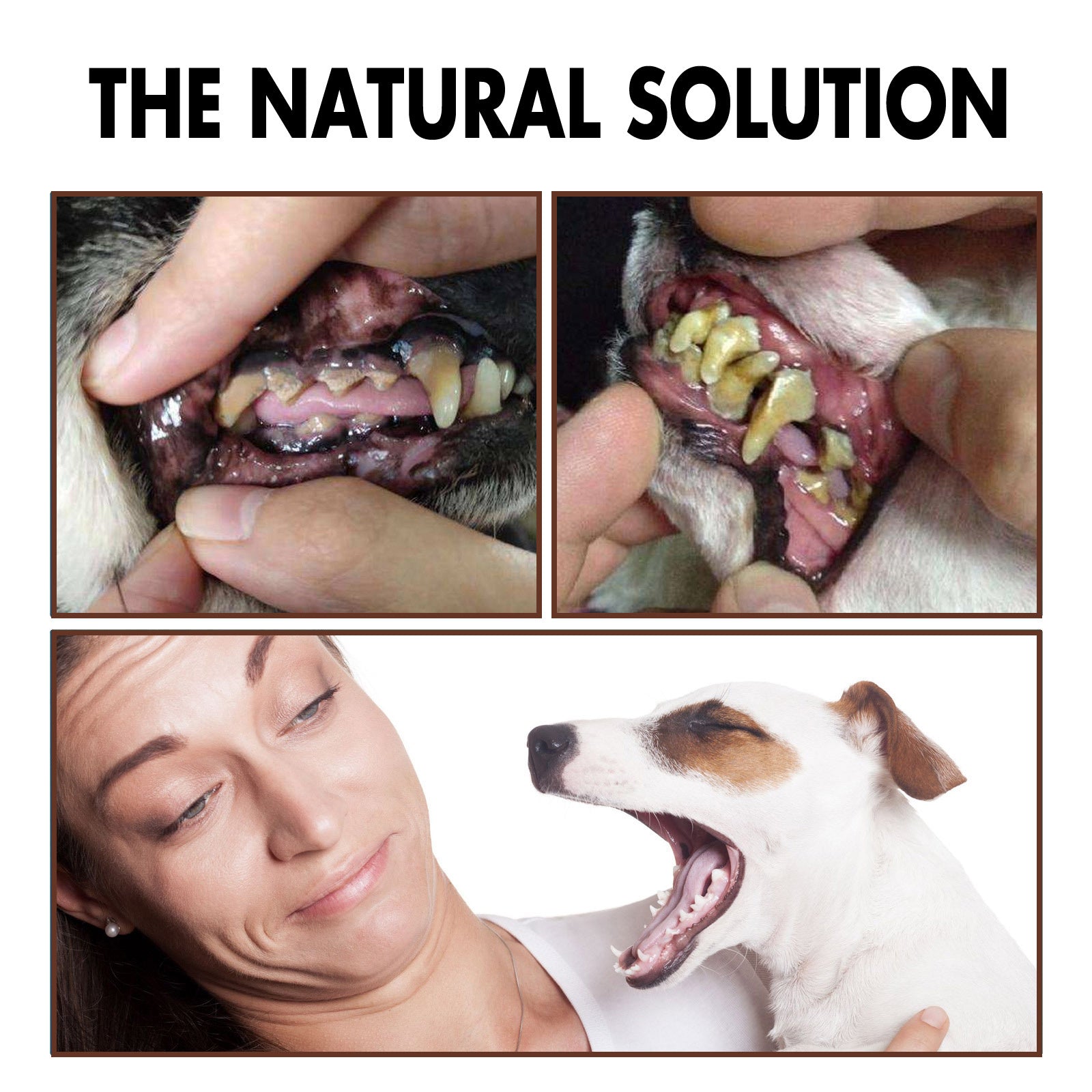 Pet Tooth Cleaning Spray