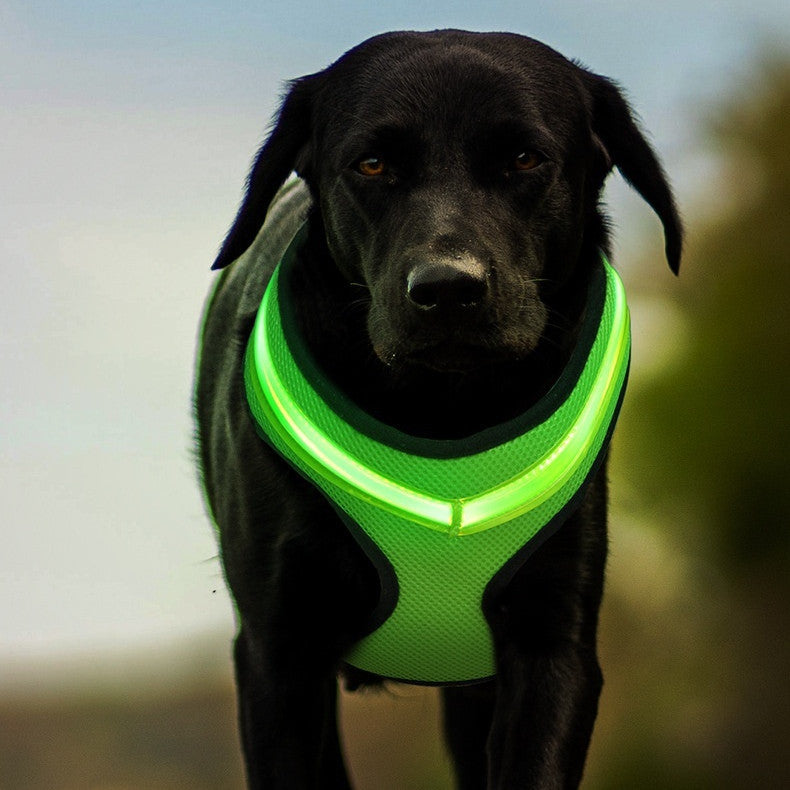 LED Luminous Dog Harness Vest