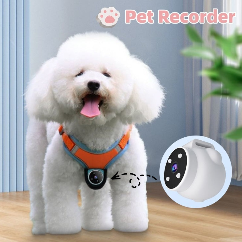Pets Recorder  Motion  Action Camera With Video Recording