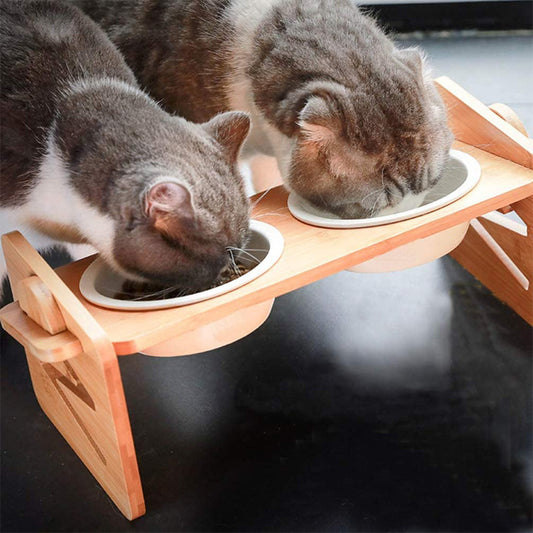 Dog Stainless Steel Double Bowl Folding