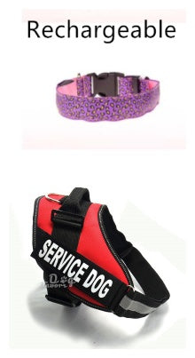 LED Dog Collar Safety Adjustable Nylon