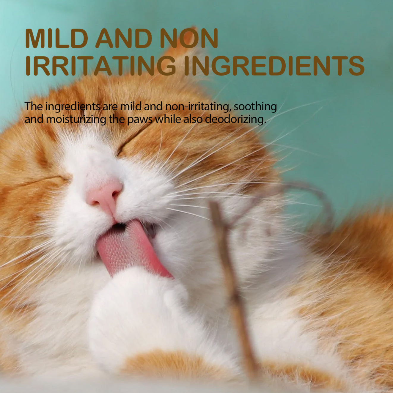 Avocado Foot Balm Pet Cat & Dog Foot Cleansing Care, Moisturizing And Crack-proof Care