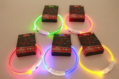 Flashing Collar USB Rechargeable