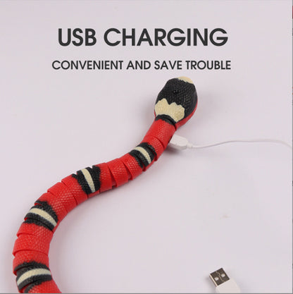 Interactive Electric Induction Snake Toy