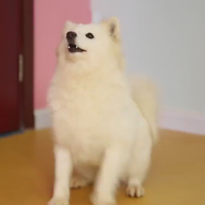 Dog Muzzle In Anti-bite And Barking Masks